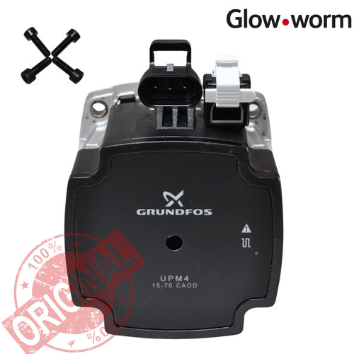 Glow worm 0020186159 - glow-worm,