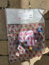 Glow-Worm0020097368 Witting